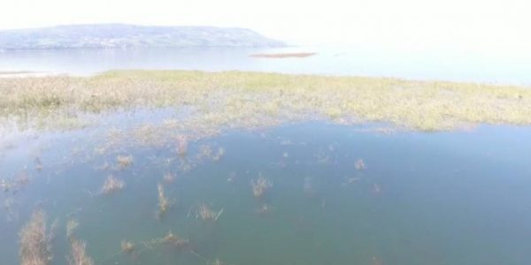 צילום- שי מזרחי, רשות הכינרת