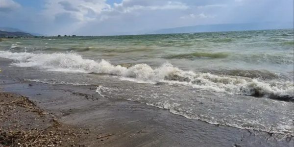 חוף דוגית

צילום: איציק לוי, רשות הכינרת