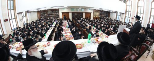 20210727185228_BQ2A2241_1