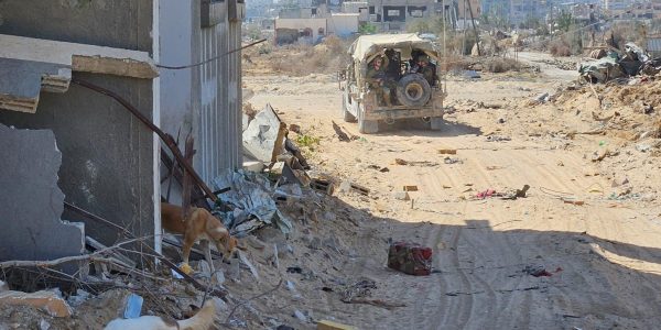 לוחמי גדוד 931 ברפיח. צילום: המחדש