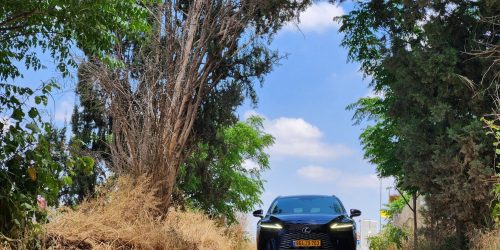 צילומים: יוחאי דנינו