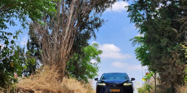 צילומים: יוחאי דנינו