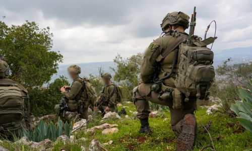 כוחות בלבנון   צילום: דו"צ