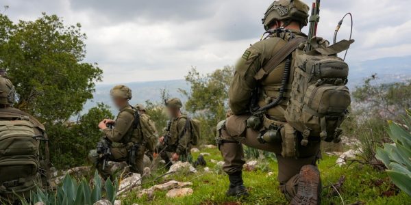 כוחות בלבנון   צילום: דו"צ