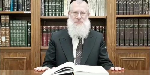 הרב אברהם יוסף שוורץ. צילומסך