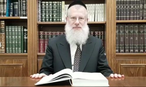 הרב אברהם יוסף שוורץ. צילומסך