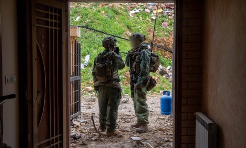 קרדיט: דובר צה"ל