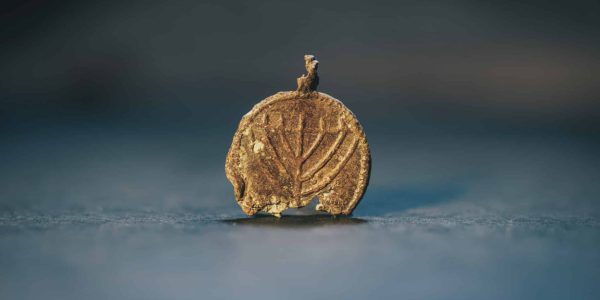 התליון שהתגלה  צילום: רשות העתיקות