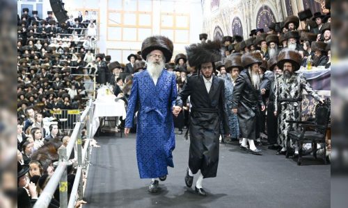 צילום: משה גולדשטיין