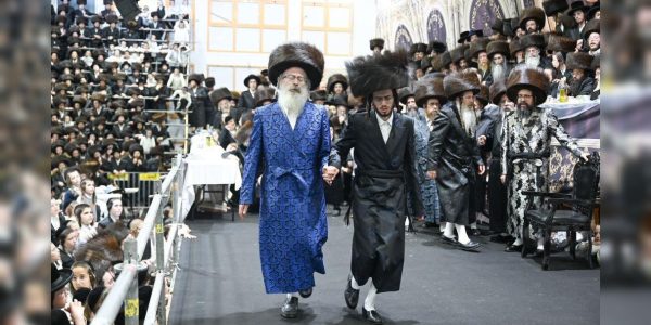 צילום: משה גולדשטיין