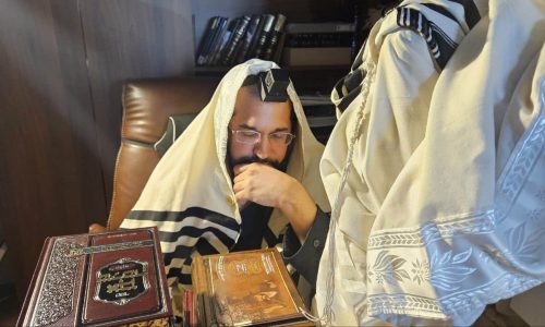 הינוקא. צילום: המחדש