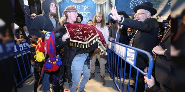 צילום: יעקב כהן