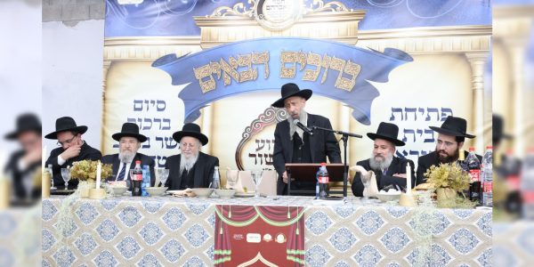 צילום: יעקב כהן