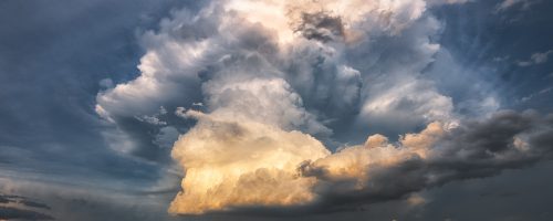 קרדיט צילום: מיקי שפיצר