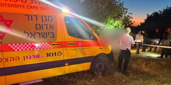 הזירה בה אותרו בני הזוג - צילום: מד"א