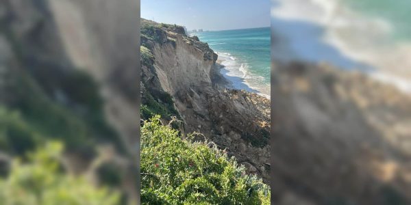 המצוק בחוף סידני עליצילום: אסף ניסנבוים, רשות הטבע והגנים