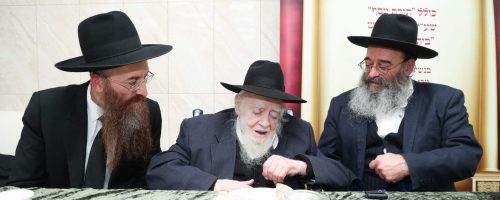 צילום: דוד ארזני