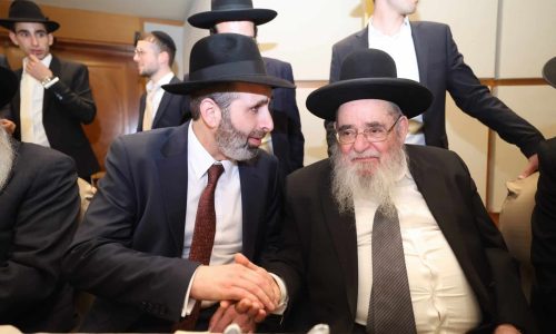 צילום: דוד ארזני