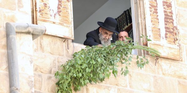 צילום: דוד ארזני