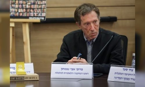 פרופ' אבי שמחון   צילום: נועם מושקוביץ/דוברות הכנסת