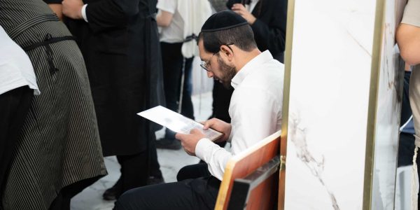 צילום ארי גרינבלאט