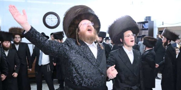 ספינקא - צילום יהשווע פרוכטר