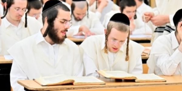 צילום: יהושע פרוכטר