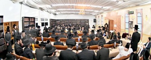 צילום: יהושע פרוכטר