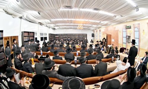 צילום: יהושע פרוכטר