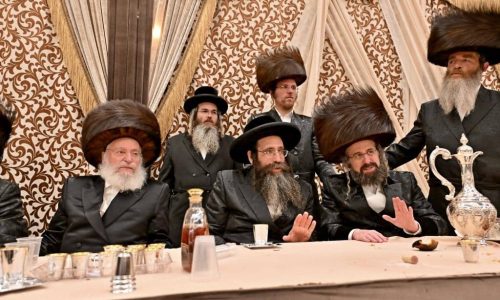 צילום: יהושע פרוכטר