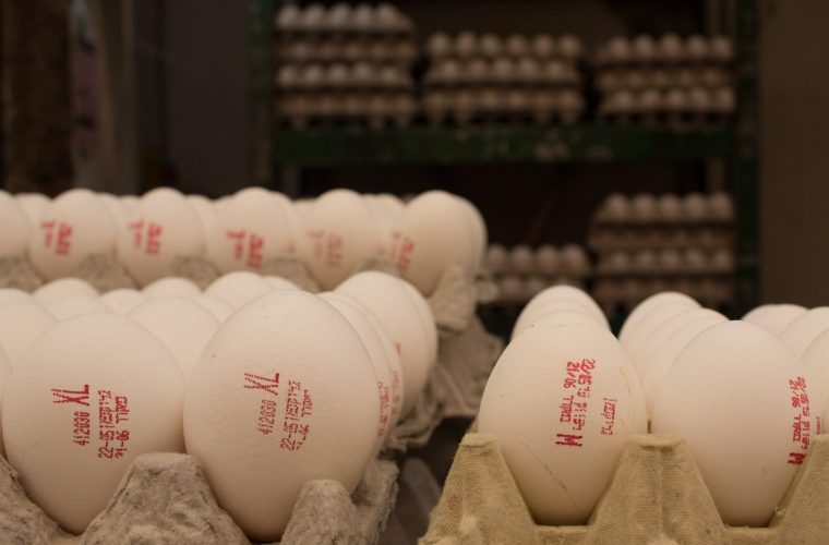 ביצים לקראת פסח. צילום: Sarah Schuman/ Flash90