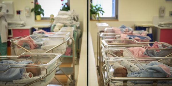 אילוסטרציה | צילום: Hadas Parush/Flash 90.