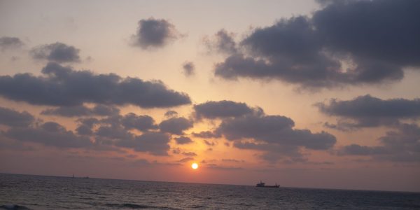 השרב חוזר | צילום:  Lior Mizrahi/Flash90