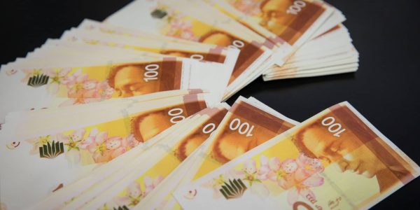 איור תמונה של שטר 100 השקלים החדש. ה-31 בדצמבר, 2017. צילום: נתי שוחט/פלאש90
    