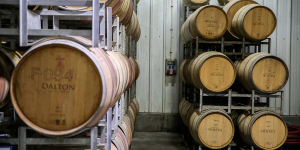 חביות יין ביקב דלתון. צילום: דוד כהן/פלאש 90