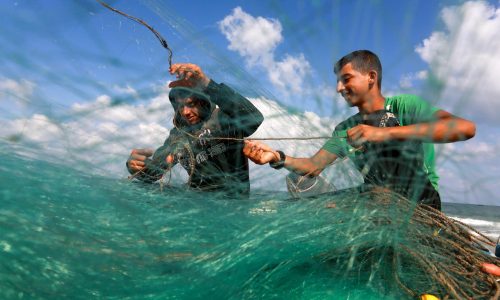 דייגים פלסטינים בדרום רצועת עזה. צילום עבד רחים חטיב/ פלאש 90