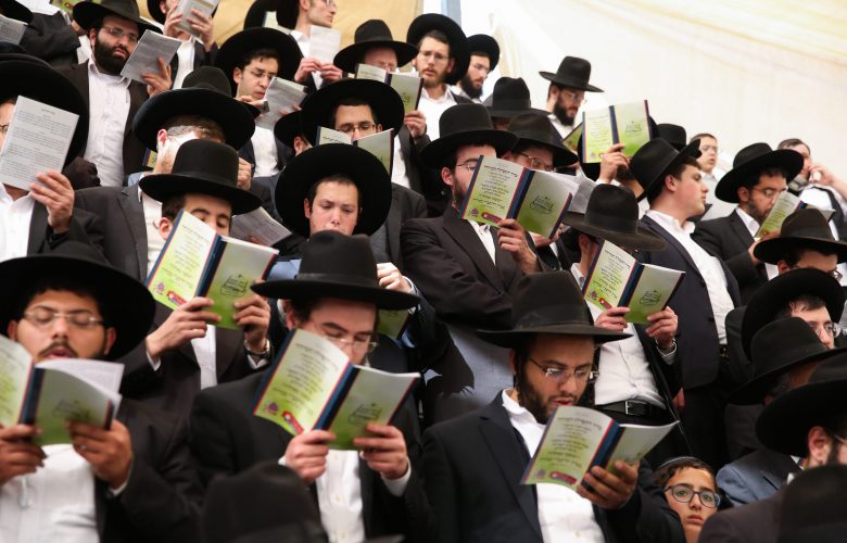 צילום: דייוויד כהן / פלאש 90