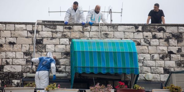 איתור אדם בודד צילום: יונתן סינדל/פלאש90
    