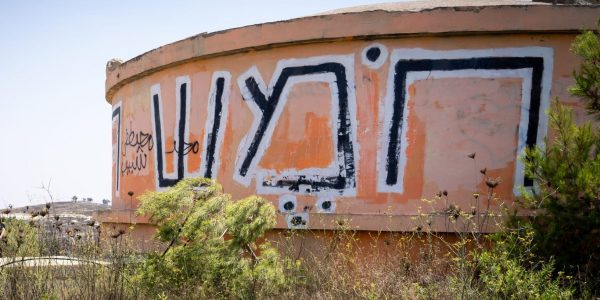 חומש | צילום: Hillel Maeir/Flash90