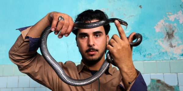 Palestinian man Fadl Nabhan holds his snake at his home in the Nuseirat regugee camp, in the central Gaza strip, on December 2, 2019. Photo by Abed Rahim Khatib/Flash90  *** Local Caption *** נשר
פלסטינאי
פוחלצים
חיות
ציפורים
מחזיק
מגדל
נחש