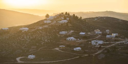 יצהר. צילום: שריה דיאמנט/פלאש 90