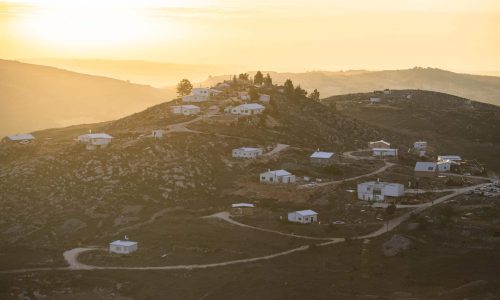 יצהר. צילום: שריה דיאמנט/פלאש 90