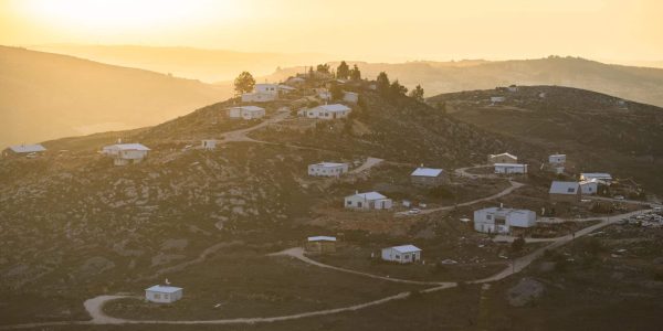 יצהר. צילום: שריה דיאמנט/פלאש 90