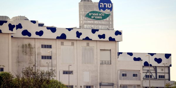 טרה צילום פלאש