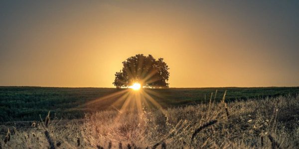 שמש צילום: מילה אביב / Flash90