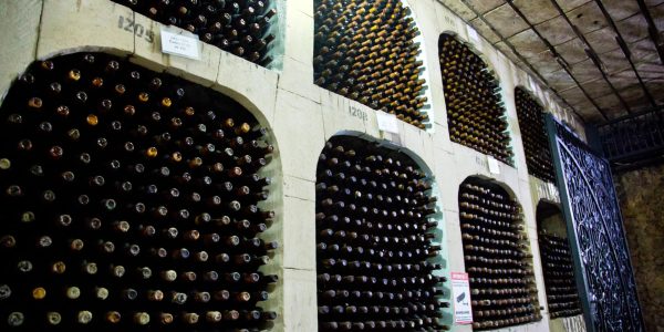 בקבוקי יין. צילום: משה שי/פלאש 90