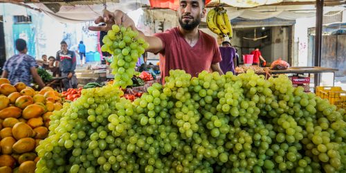 פירות וירקות - צילום: פלאש 90