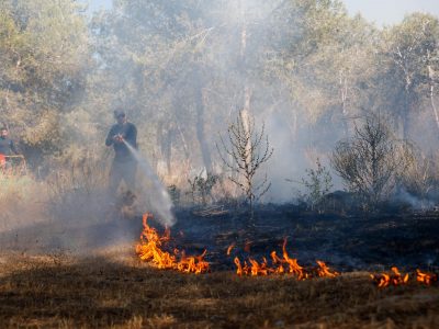 כוחות הכיבוי בפעולה בשריפת חורש | צילום: פלאש 90