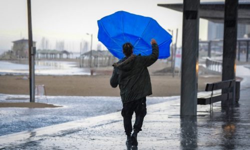 יום גשום / צילום: Avshalom Sassoni/Flash90