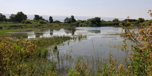 נחל חצבאני // צילום: יוסי זמיר / פלאש 90